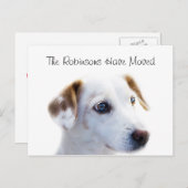 Carte Postale Faire-part Nouvelle Adresse Chiot Mignon (Devant / Derrière)