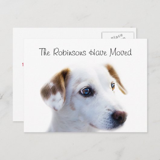 Carte Postale Faire-part Nouvelle Adresse Chiot Mignon (Devant / Derrière)