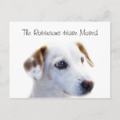 Carte Postale Faire-part Nouvelle Adresse Chiot Mignon (Devant)