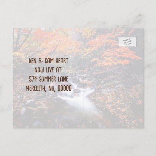 Carte Postale Faire-part Nouvelle adresse vue sur lac (Dos)