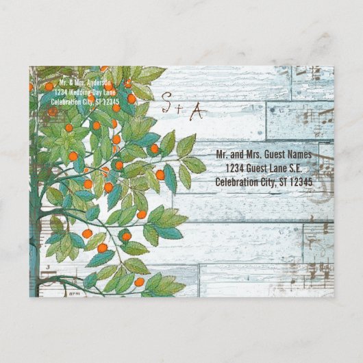 Carte Postale Faire-part Oiseau d'amour Paon Perché dans un Arbre Enregistr (Dos)