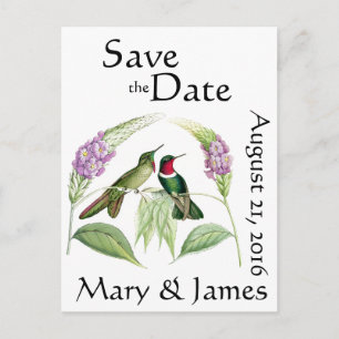 Carte Postale Faire-part Oiseaux de colibri Fleurs sauvages Sauvez la date