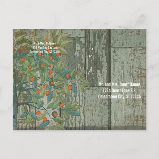 Carte Postale Faire-part Oiseaux de l'amour sarcelle perchés dans un arbre, (Dos)