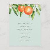 Carte Postale Faire-part Orange Blossoms Citrus Botanical Enregistrer la da (Devant)