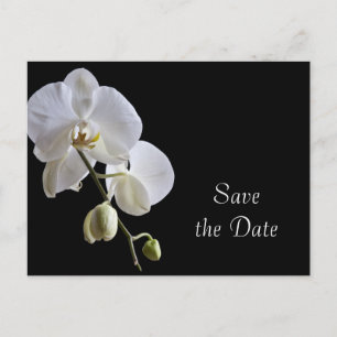 Carte Postale Faire-part Orchidée blanche sur mariage noir Enregistrer la d