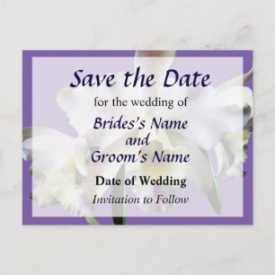 Carte Postale Faire-part Orchidées Cattleya Blanches