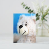 Carte Postale Faire-part Ours Bleu (Debout devant)