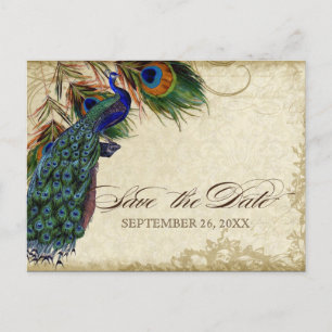 Carte Postale Faire-part Paon & Plumes Formel Épargnez la date Noir Brun