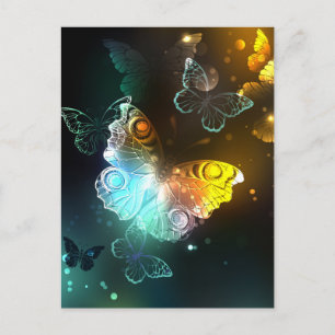 Carte Postale Faire-part Papillon lumineux et papillons de nuit