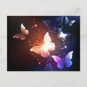 Carte Postale Faire-part Papillons de nuit lumineux