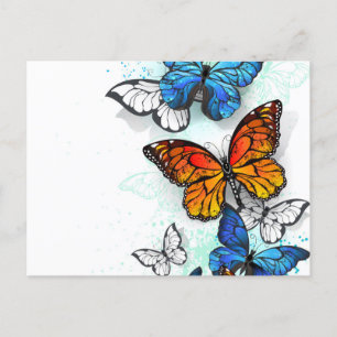Carte Postale Faire-part Papillons volants Morpho et Monarch