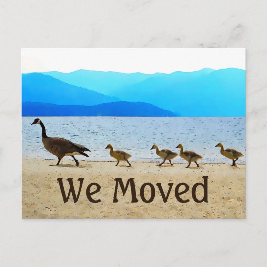 Carte Postale Faire-part Patrol Canada Oies (Devant)