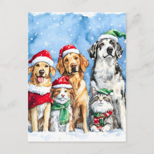 Carte Postale Faire-part Patte enneigée Festive Mignon Animaux de Noël Aqua