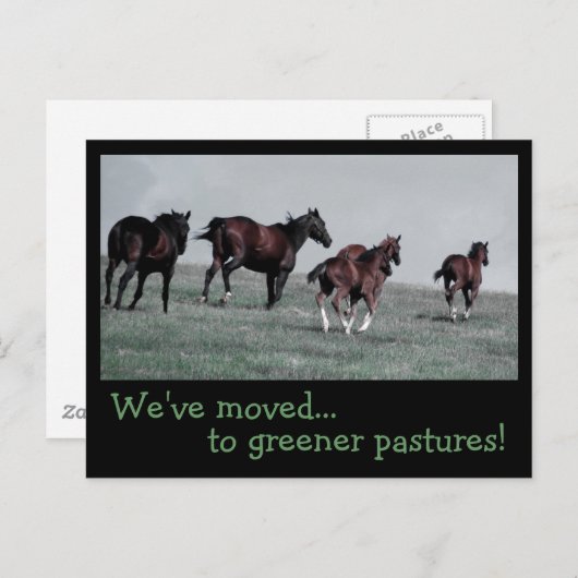 Carte Postale Faire-part Pâturages plus verts... (Devant / Derrière)