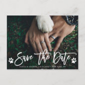 Carte Postale Faire-part Paw Prints Mariage Enregistrer la Date Photo (Devant)