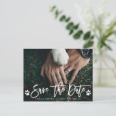 Carte Postale Faire-part Paw Prints Mariage Enregistrer la Date Photo (Debout devant)