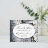 Carte Postale Faire-part Pays Rustic Birch Tree Mariage Enregistrer La Date (Debout devant)