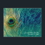 Carte Postale Faire-part Peacock Feather Blue Turquoise Gold Glam Enregistr<br><div class="desc">Peacock Feather Blue Turquoise Gold Glam Enregistrer la date Carte postale. Personnalisé pour tout événement.</div>