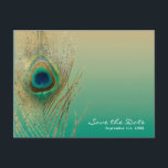 Carte Postale Faire-part Peacock Feather Sand et Turquoise Boho Enregistrer<br><div class="desc">Peacock Feather Sand et Turquoise Boho Enregistrer la carte postale Date. Personnalisé pour tout événement.</div>