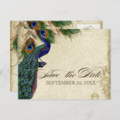Carte Postale Faire-part Peacock & Feathers Formal Enregistrer la date Aqua (Devant / Derrière)