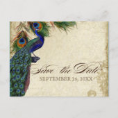Carte Postale Faire-part Peacock & Feathers Formal Enregistrer la date Aqua (Devant)