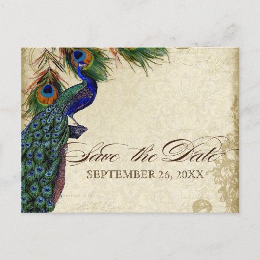 Carte Postale Faire-part Peacock & Feathers Formal Enregistrer la date Aqua (Devant)
