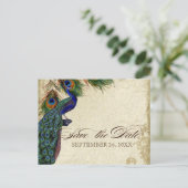 Carte Postale Faire-part Peacock & Feathers Formal Enregistrer la date Aqua (Debout devant)