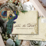 Carte Postale Faire-part Peacock & Feathers Formal Enregistrer la date Aqua<br><div class="desc">SÉLECTION DE PAPIER : Les cartes postales sont imprimées sur un stock très beau, très lourd qui est brillant sur le côté avant et fini mat sur le dos. PALETTE DE COULEUR : tan, bleu royal crème, vert et rouille. DESIGN : Cette collection de mariages d'inspiration vintage antique possède un...</div>
