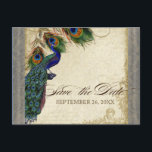 Carte Postale Faire-part Peacock & Feathers Formal Enregistrer la date Arge<br><div class="desc">SÉLECTION DE PAPIER : Les cartes postales sont imprimées sur un stock très beau, très lourd qui est brillant sur le côté avant et fini mat sur le dos. PALETTE DE COULEUR : argent métallique, tan, crème bleu royal, vert et rouille. DESIGN : Cette collection de mariages d'inspiration vintage antique...</div>