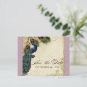 Carte Postale Faire-part Peacock & Feathers Formal Enregistrer la date Lave (Debout devant)