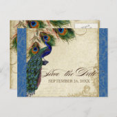 Carte Postale Faire-part Peacock & Feathers Formal Enregistrer la date Roya (Devant / Derrière)