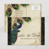 Carte Postale Faire-part Peacock & Feathers Formal Enregistrer la date Tan  (Devant / Derrière)