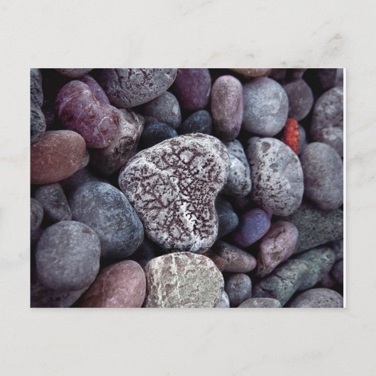 Carte Postale Faire-part Pebble Heart Discovery Save the Date (Dos)