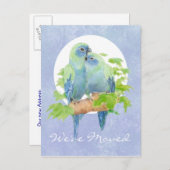 Carte Postale Faire-part Perroquets Tropicaux Mignons Se Blottissant Adre (Devant / Derrière)