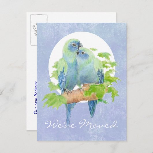 Carte Postale Faire-part Perroquets Tropicaux Mignons Se Blottissant   Adre (Devant / Derrière)