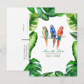 Carte Postale Faire-part Perroquets Tropicaux Oiseaux & Feuilles Enregistre (Devant / Derrière)