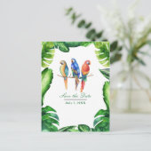 Carte Postale Faire-part Perroquets Tropicaux Oiseaux & Feuilles Enregistre (Debout devant)