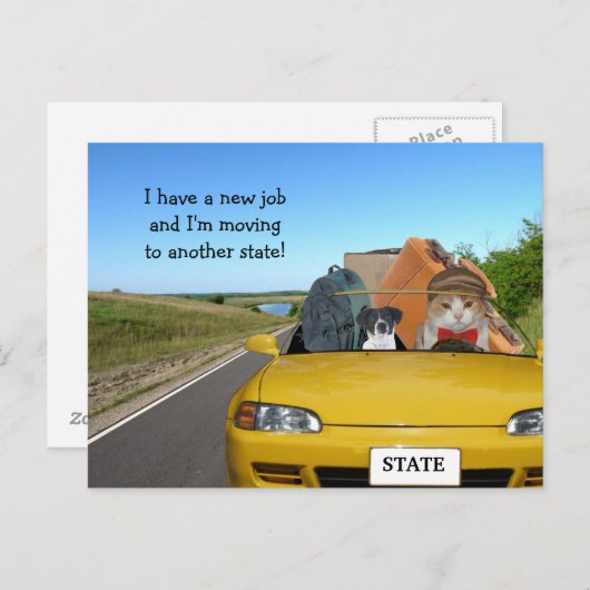 Carte Postale Faire-part Personnalisable Chat Funny / Kitty Déménagement ho (Devant / Derrière)