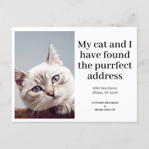 Carte Postale Faire-part Photo de chat nouveau adresse Je viens de déménage