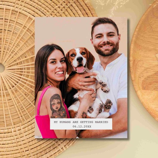 Carte Postale Faire-part Photo de chien drôle pour mariage, save the date
