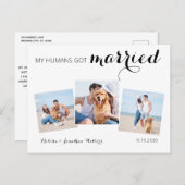 Carte Postale Faire-part Photo moderne Collage Chien Mariage Elopement (Devant / Derrière)