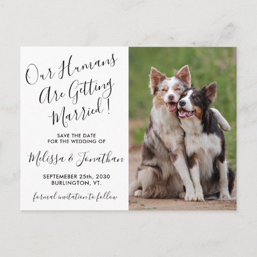 Carte Postale Faire-part Photo Moderne Personnaliser Mariage Animaux de Com (Devant)