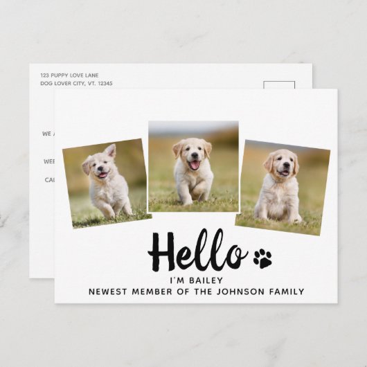 Carte Postale Faire-part Photo pour animaux de compagnie Hello Chien chiot (Devant / Derrière)
