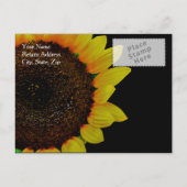 Carte Postale Faire-part Photographie de tournesol Enregistrez la date de m (Dos)