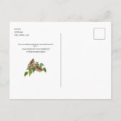 Carte Postale Faire-part Pine Cones Site Mariage Enregistrer la Date II (Dos)