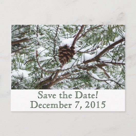 Carte Postale Faire-part Pinecone neige Enregistrer la date (Devant)