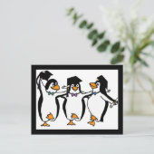 Carte Postale Faire-part Pingouins diplômés (Debout devant)