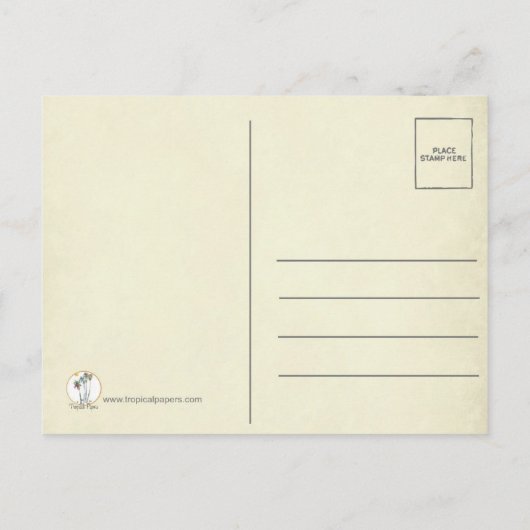 Carte Postale Faire-part Plage Tropicale Palmier Key West Sauvegarder la Da (Dos)