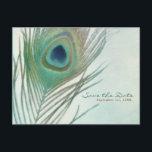 Carte Postale Faire-part Plume de paon Boho Chic Aquarelle Épargnez la date<br><div class="desc">Carte postale Plume de paon Boho Chic Aquarelle Épargnez la date. Personnalisé pour tout événement.</div>