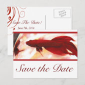 Carte Postale Faire-part Poisson Betta Rouge Save The Date (Devant / Derrière)
